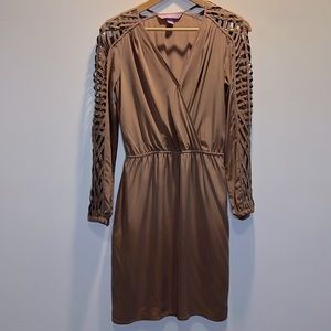 Mauve dress - Amazing sleeve detail